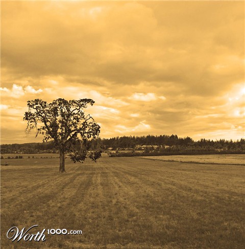 Photography by SteelMonkey