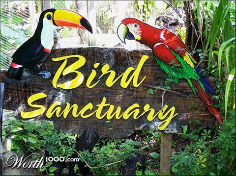 Photography by vpravda