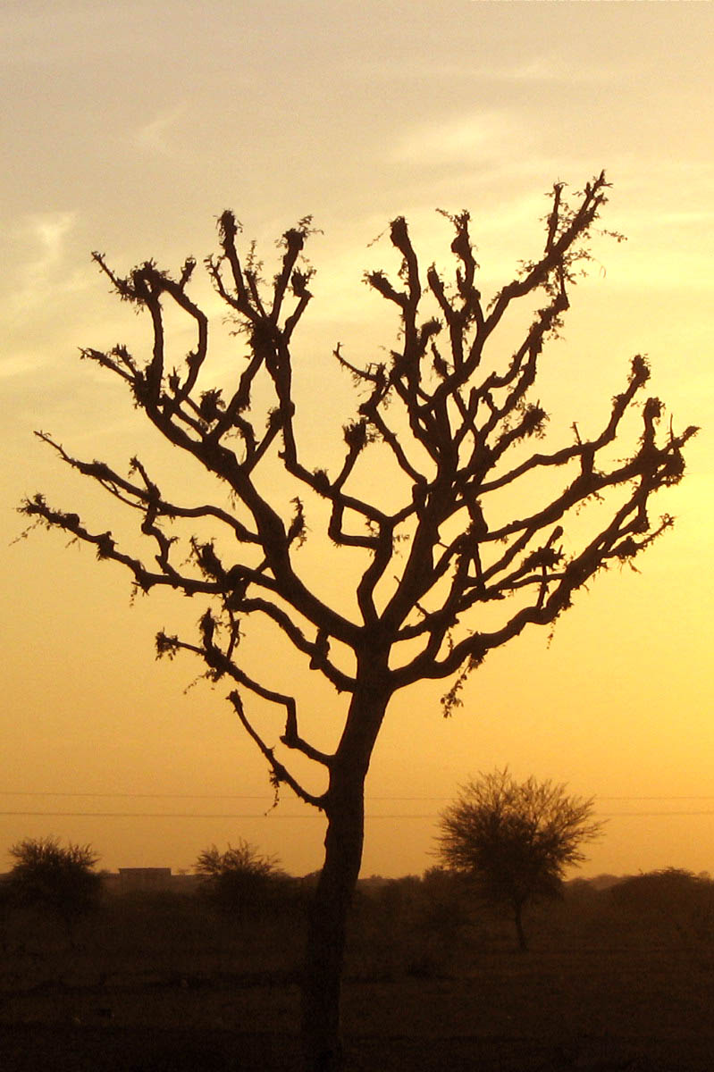 Photography by kkrana for DesignCrowd (Community Contests) | Design #8967615