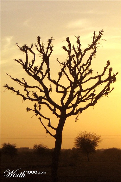 Photography by kkrana