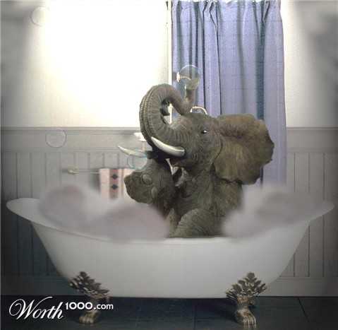 Photoshop Design by CarissaLynn