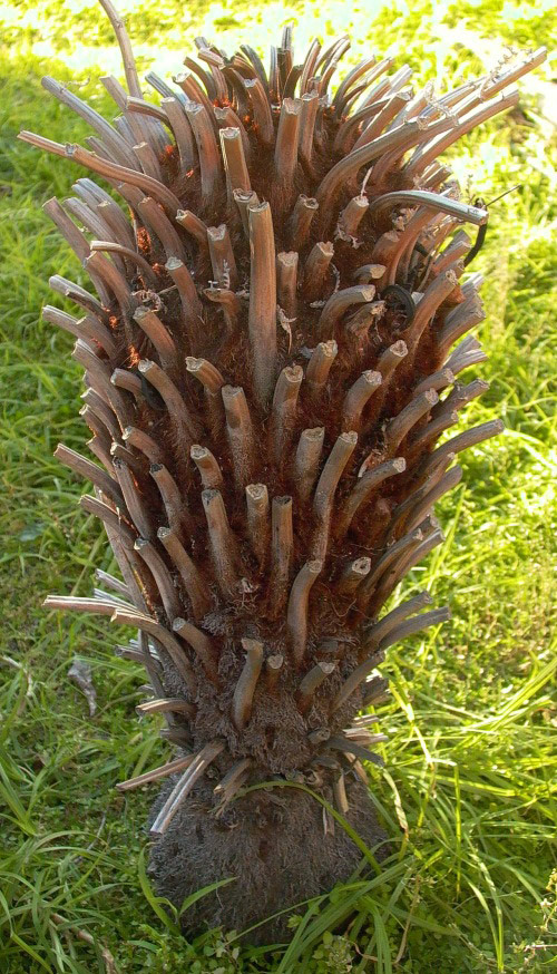 Photography by alexiit for DesignCrowd (Community Contests) | Design #8967608