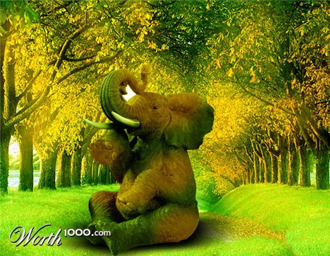 Photoshop Design by saransa