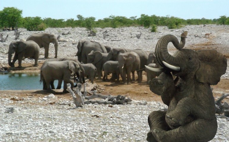 Design Photoshop par littlefrog pour DesignCrowd (Community Contests) | Design #8971441