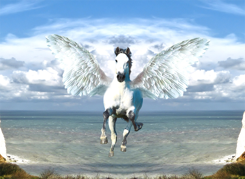 Design Photoshop par Seba86 pour DesignCrowd (Community Contests) | Design #8969489