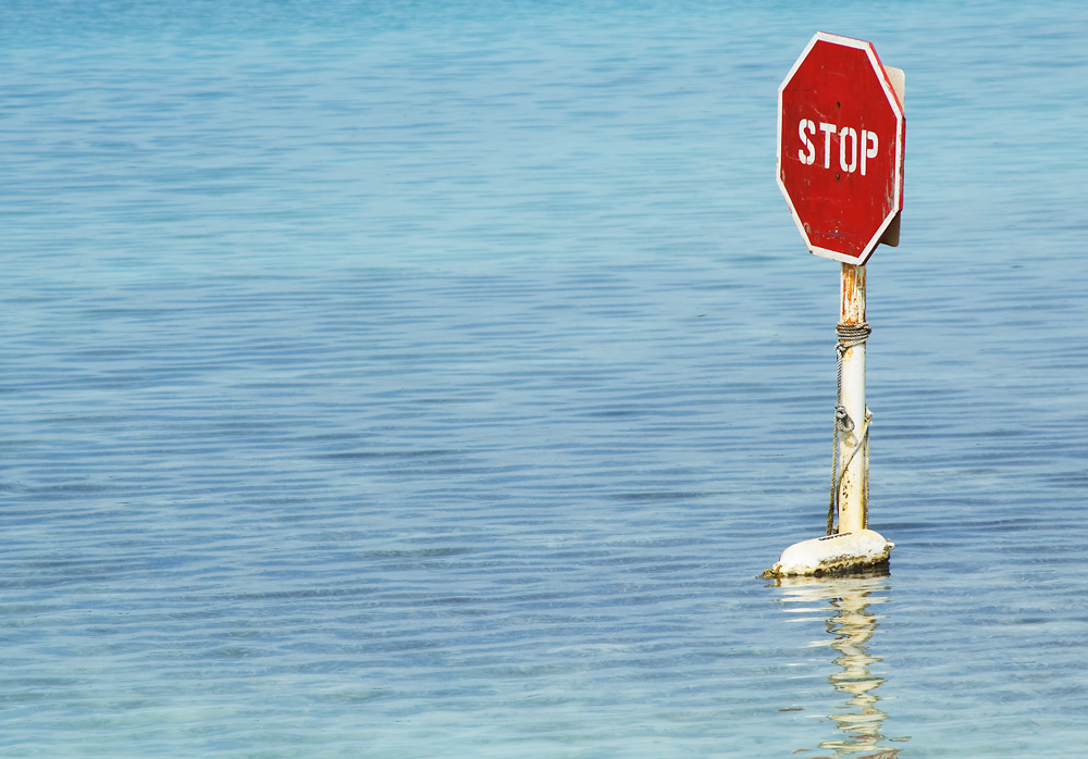 Photography by HappyWanderer for DesignCrowd (Community Contests) | Design #8968197