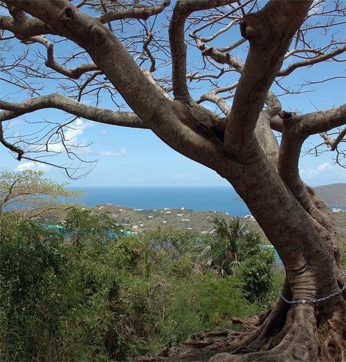 Photography by Jawizza for DesignCrowd (Community Contests) | Design #8967628