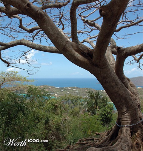 Photography by Jawizza