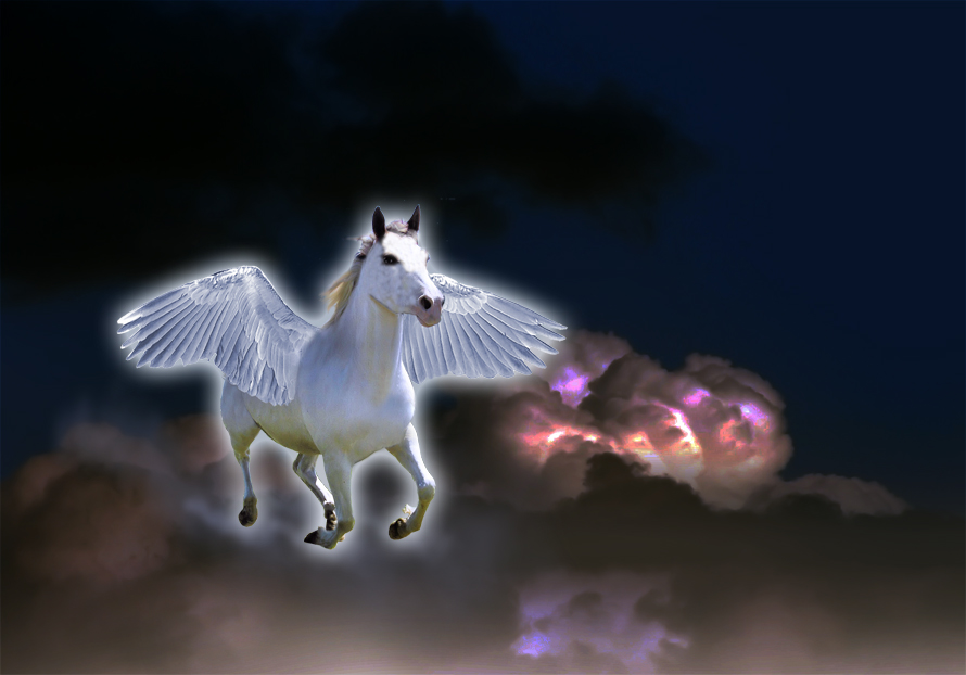 Photoshop Design by lucimine for DesignCrowd (Community Contests) | Design #8969515