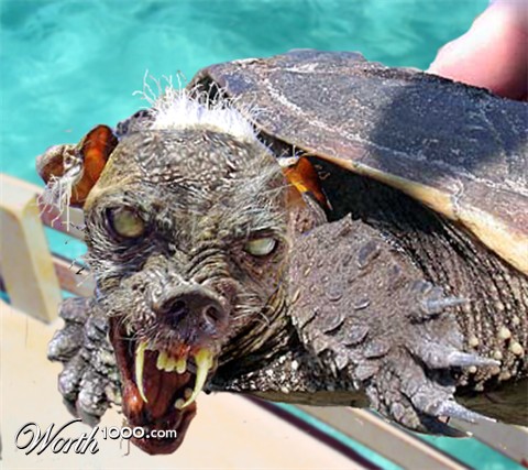 Photoshop Design by ilovekarate