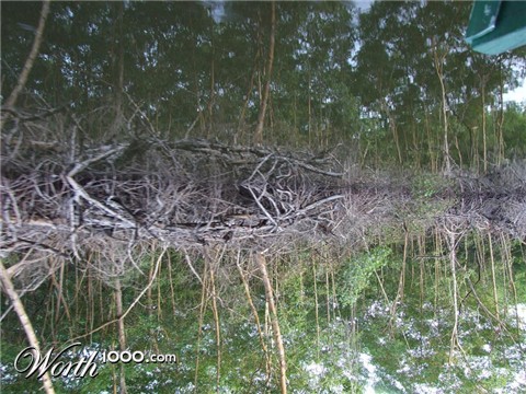 Photography by Mary Hughes