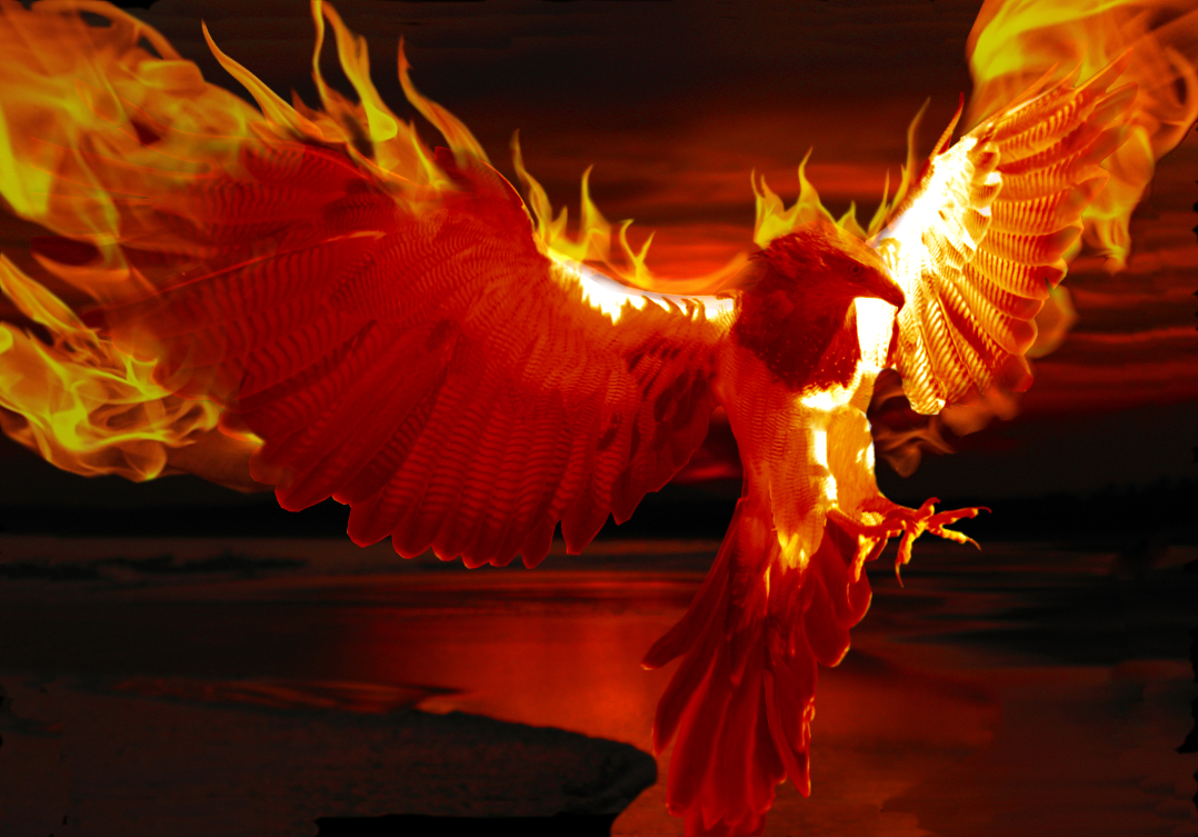 Photoshop Design by bcicatriz for DesignCrowd (Community Contests) | Design #8969527