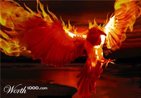 Photoshop Design by bcicatriz