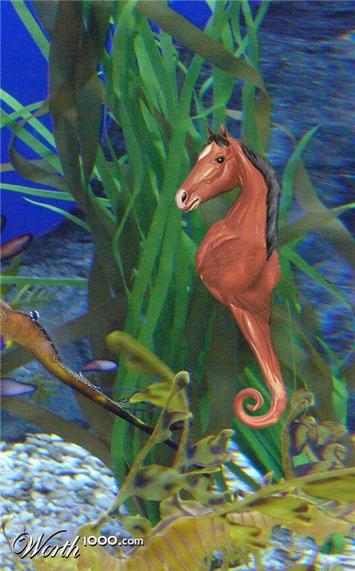 Photoshop Design by ChorbyChick