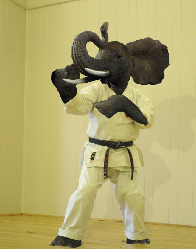 Photoshop-Design von arbel420 für DesignCrowd (Community Contests) | Design #8971404