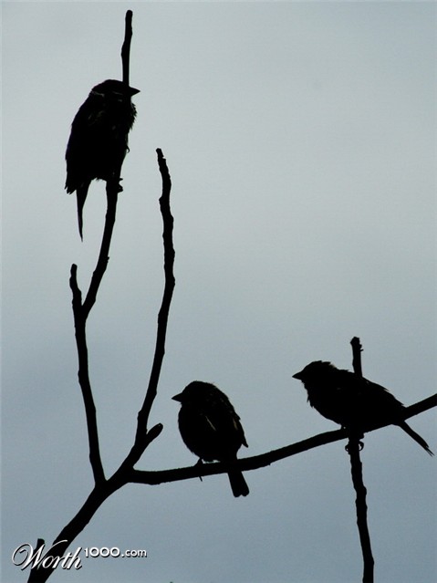 Photography by mzmzmzmz