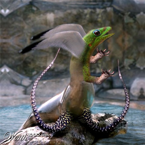 Photoshop Design by Chimmi