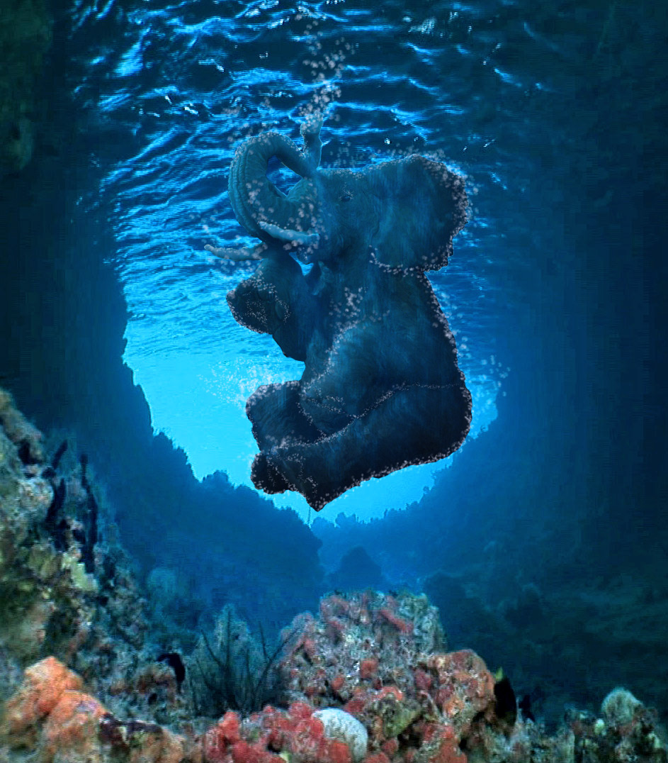 Photoshop Design by WinoBucky for DesignCrowd (Community Contests) | Design #8971343