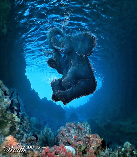 Photoshop Design by WinoBucky