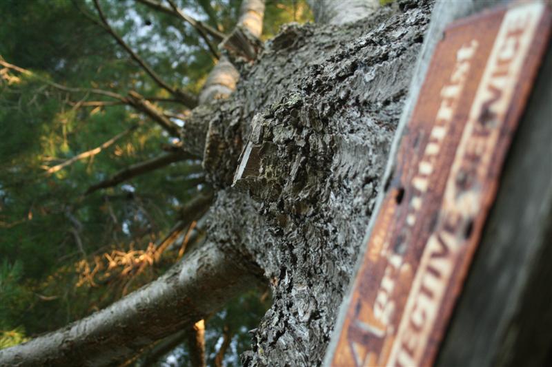 Photography by tmalone for DesignCrowd (Community Contests) | Design #8967664