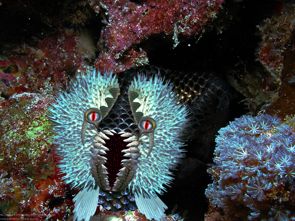 Photoshop Design by BlueHeron for DesignCrowd (Community Contests) | Design #8968953