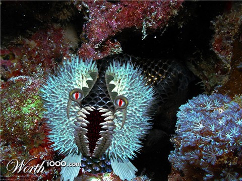 Photoshop Design by BlueHeron