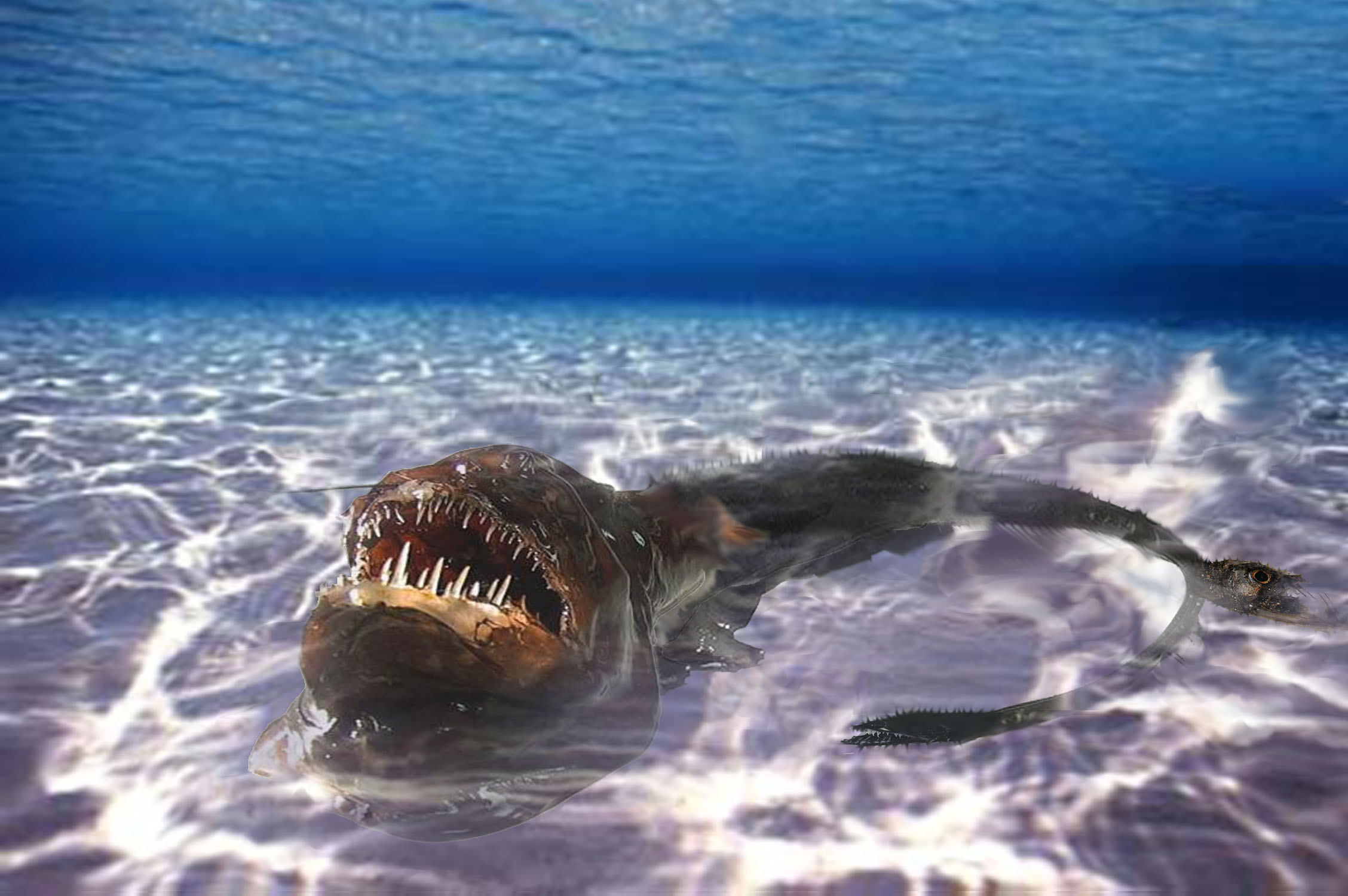 Design Photoshop par chrystellica pour DesignCrowd (Community Contests) | Design #8969031