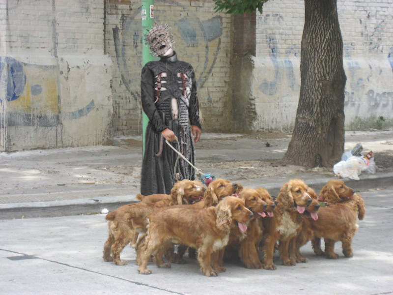 Photoshop Design by Sunshine6366 for DesignCrowd (Community Contests) | Design #8969381