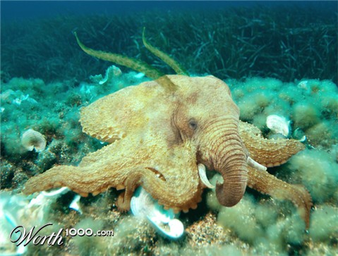 Photoshop Design by doomsdarkgraves