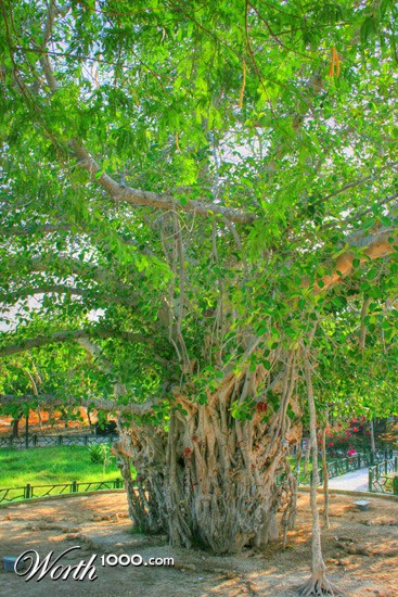 Photography by leiail