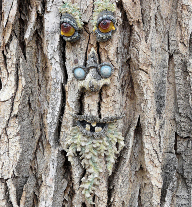 Photography by kimmee for DesignCrowd (Community Contests) | Design #8967639