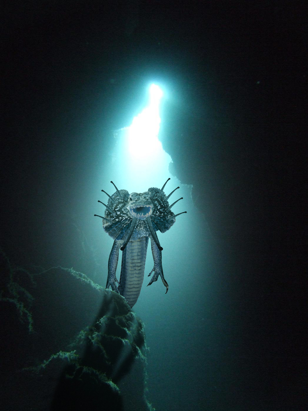 Design Photoshop par hetster pour DesignCrowd (Community Contests) | Design #8969021