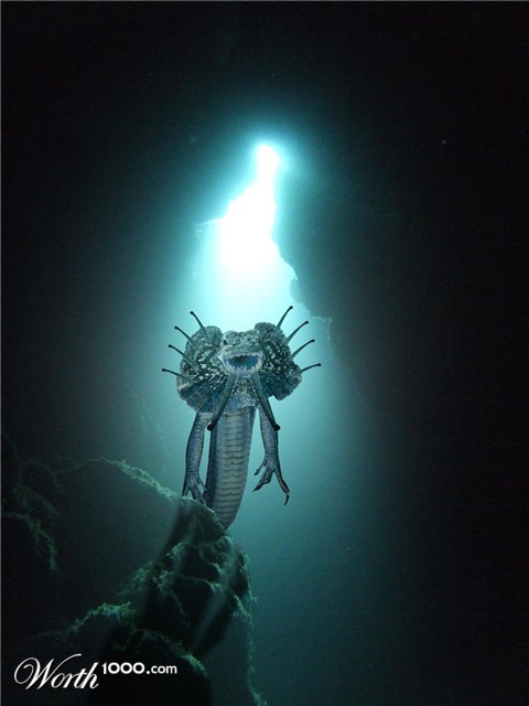 Photoshop Design by hetster