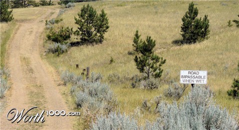 Photography by kimmee