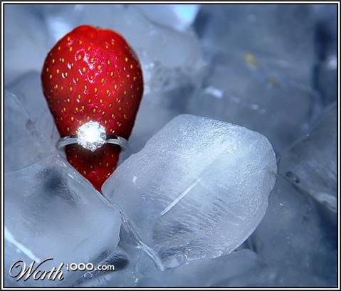 Photography by Juicer