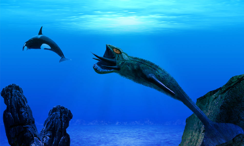 Design Photoshop par PissMyren pour DesignCrowd (Community Contests) | Design #8968996