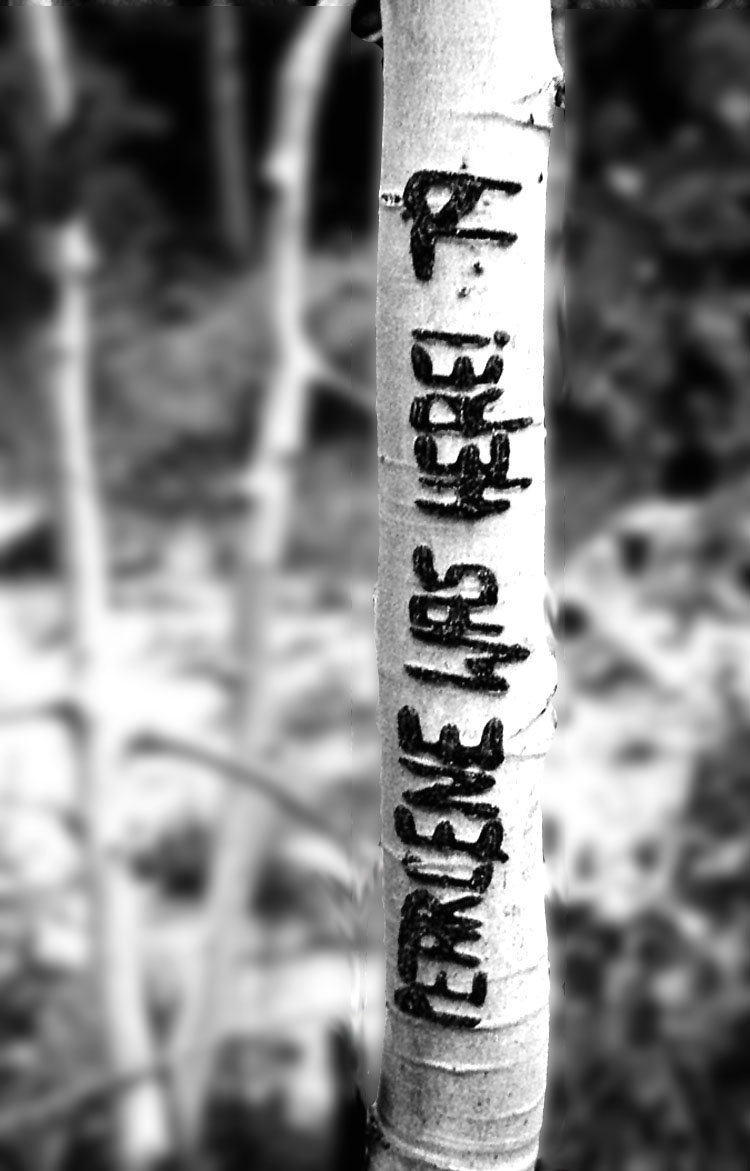 Photography by tigercrosse for DesignCrowd (Community Contests) | Design #8967637