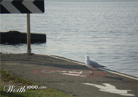 Photography by littlefrog