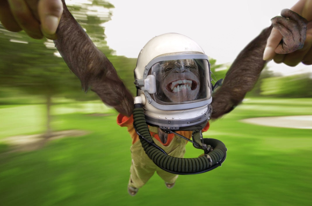 Photoshop Design by kitsune1920 for DesignCrowd (Community Contests) | Design #8970933