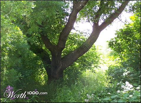 Photography by vpravda