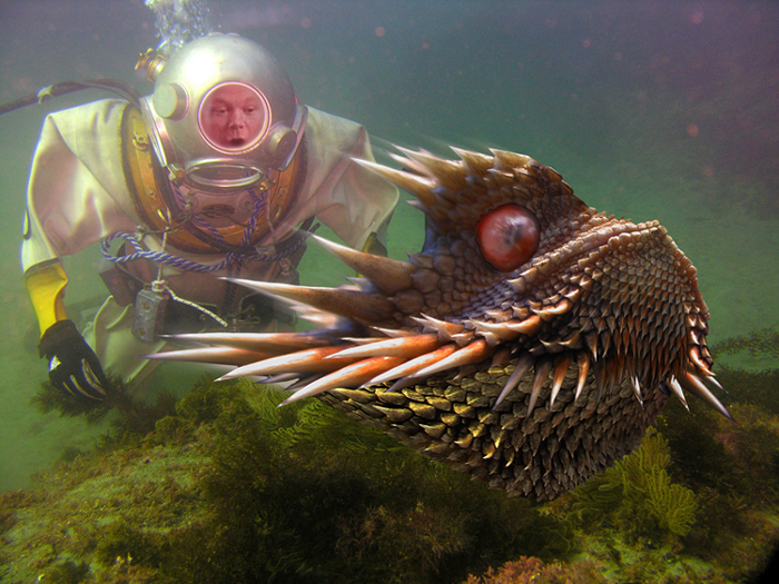 Photoshop Design by ConnieB for DesignCrowd (Community Contests) | Design #8969046