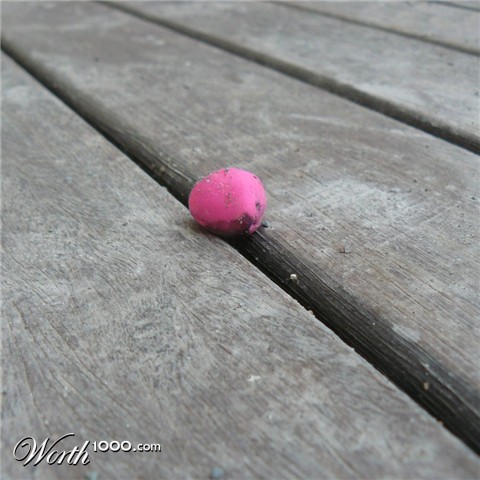 Photography by kittykate