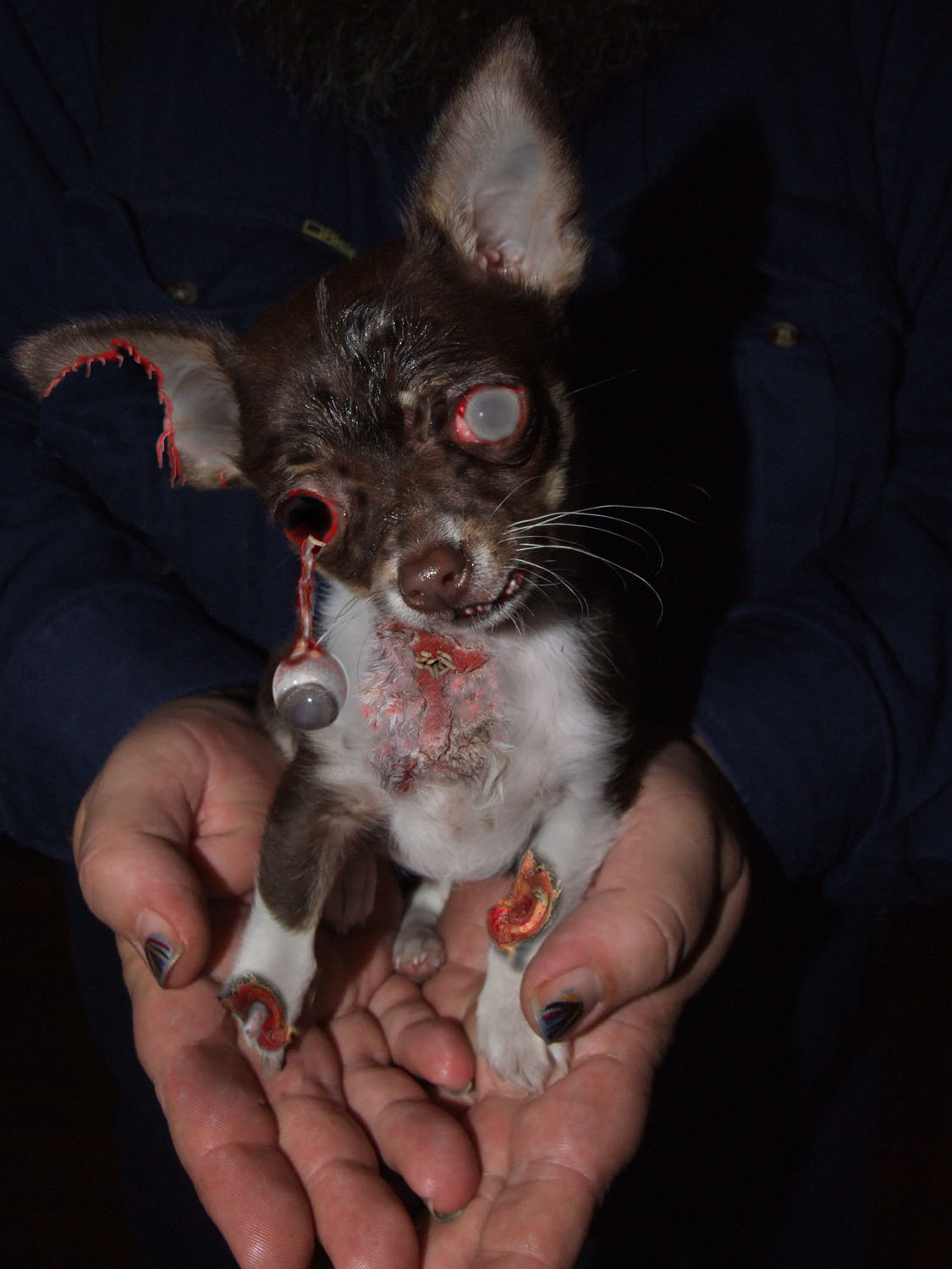 Photoshop Design by StephenP for DesignCrowd (Community Contests) | Design #8969744