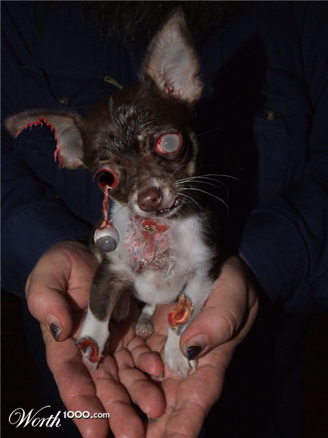 Photoshop Design by StephenP