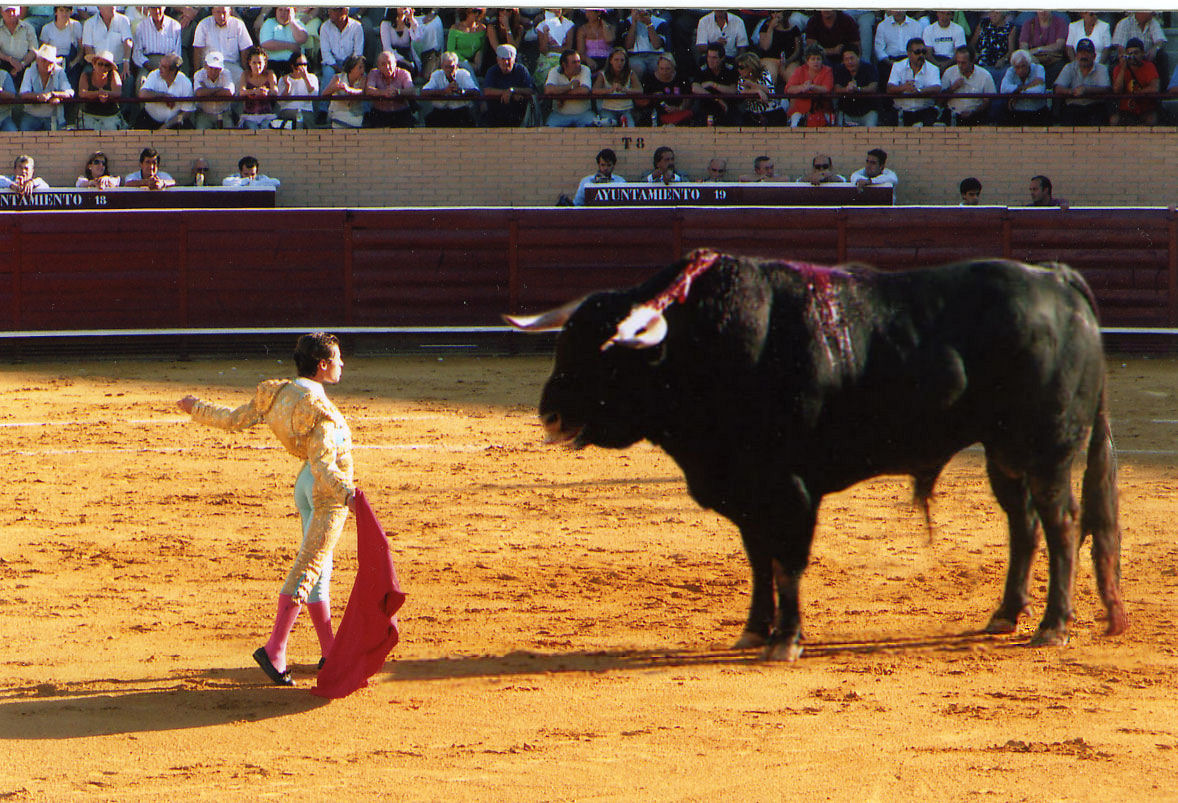 Diseño de Photoshop por gilld8 para DesignCrowd (Community Contests) | Diseño #8971392