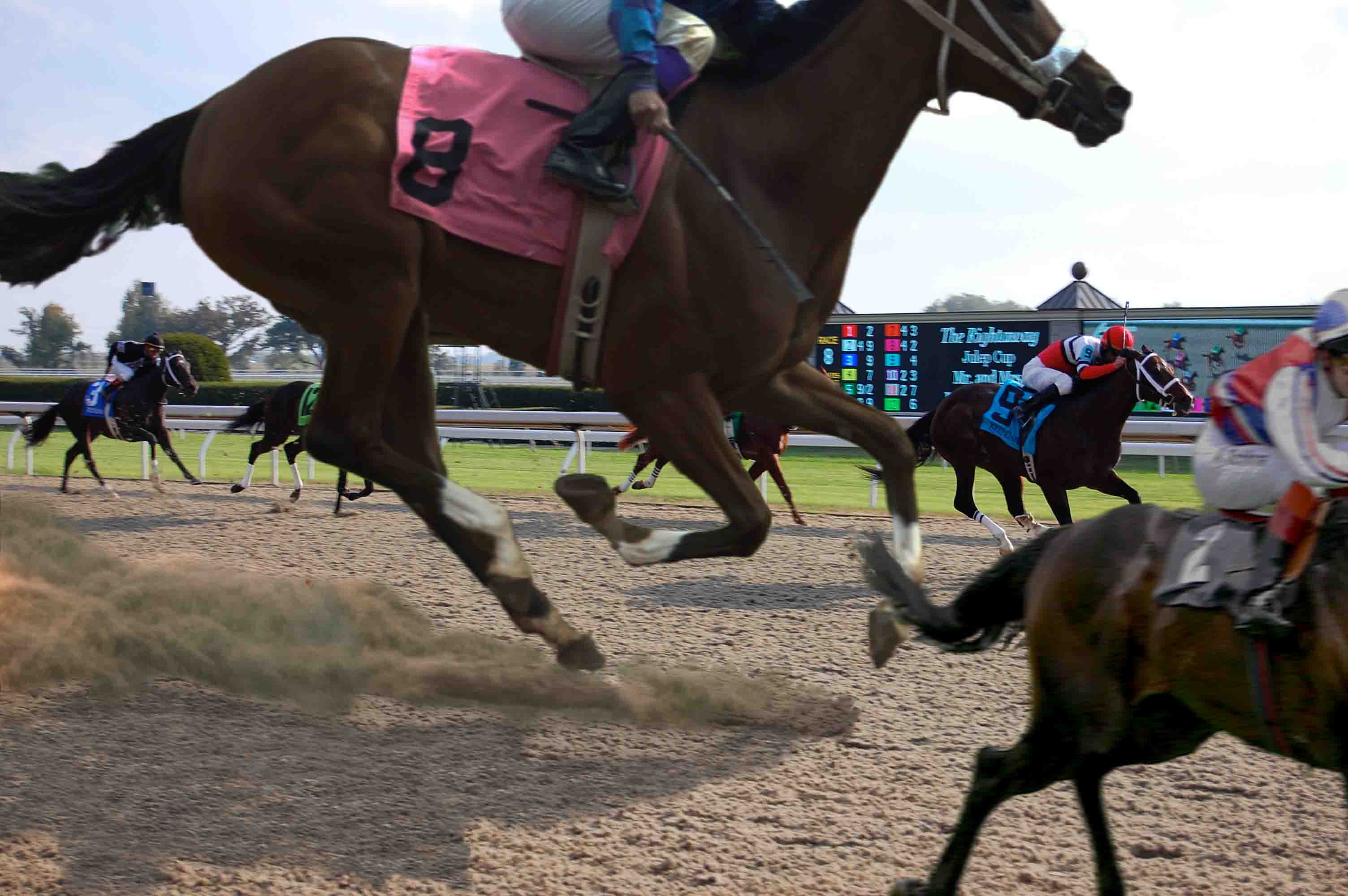 Diseño de Photoshop por TheBagel para DesignCrowd (Community Contests) | Diseño #8971388