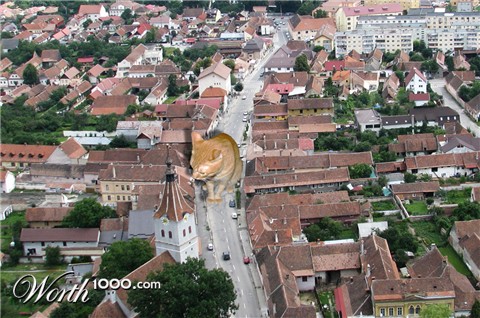 Photoshop Design by xtasyro