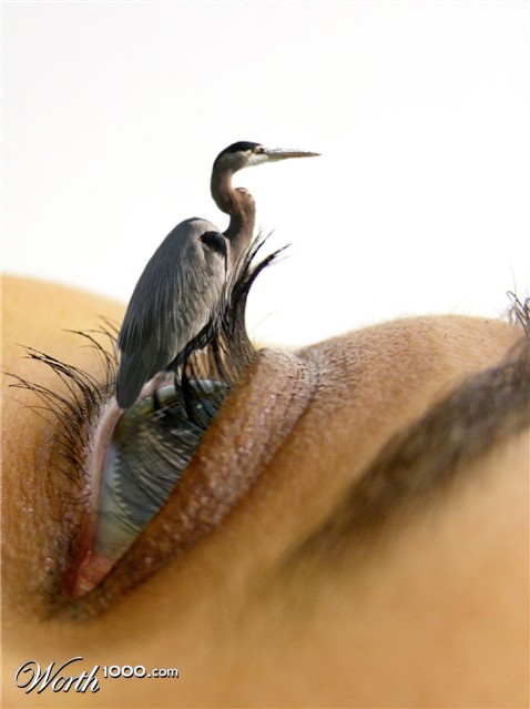 Photoshop Design by badapoum