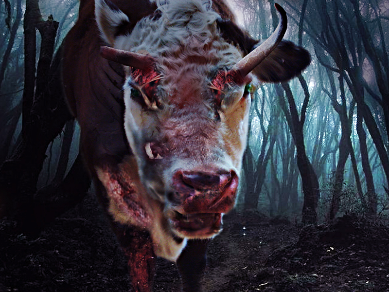 Photoshop Design by siemhustler for DesignCrowd (Community Contests) | Design #8969786