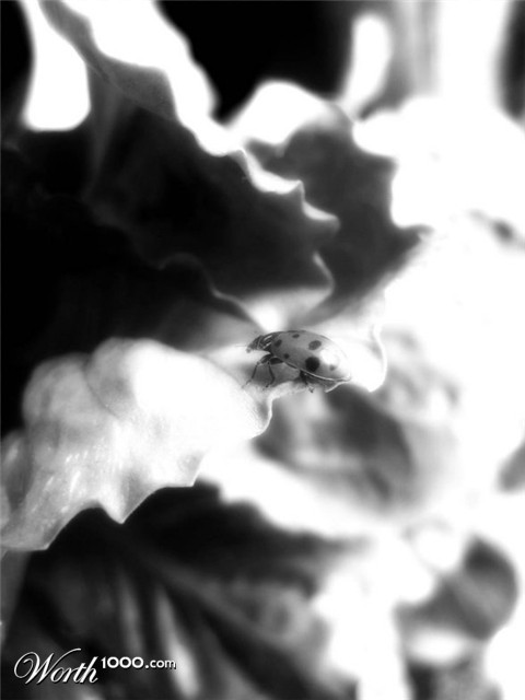 Photography by Kristie07